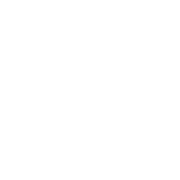 Icon: Breadth & depth of data