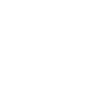 Icon: Speed to insight